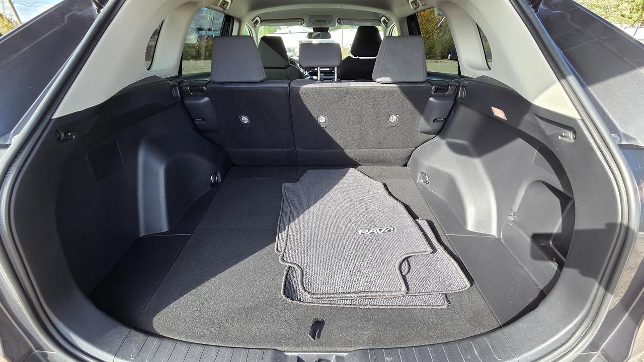 2021 Toyota RAV4 LE Photo
