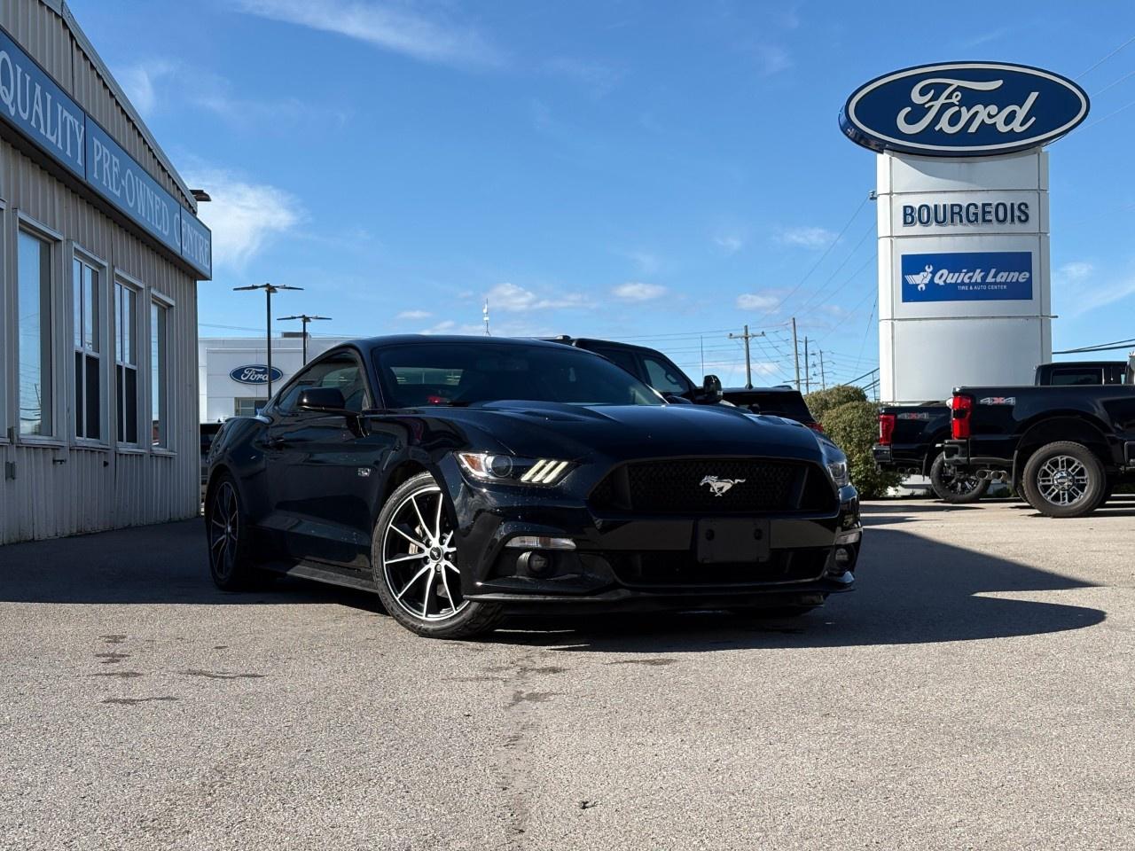 2017 Ford Mustang 2DR FASTBACK GT Photo0