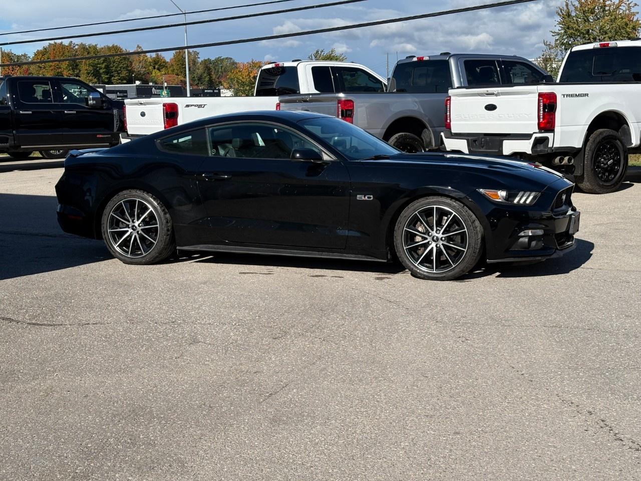 2017 Ford Mustang 2DR FASTBACK GT Photo