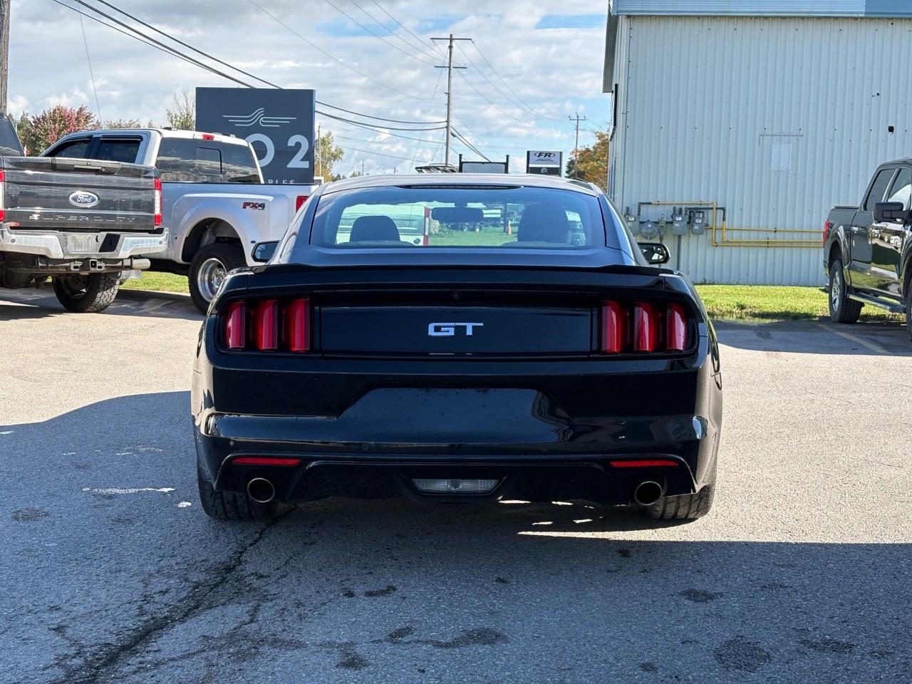 2017 Ford Mustang 2DR FASTBACK GT Photo