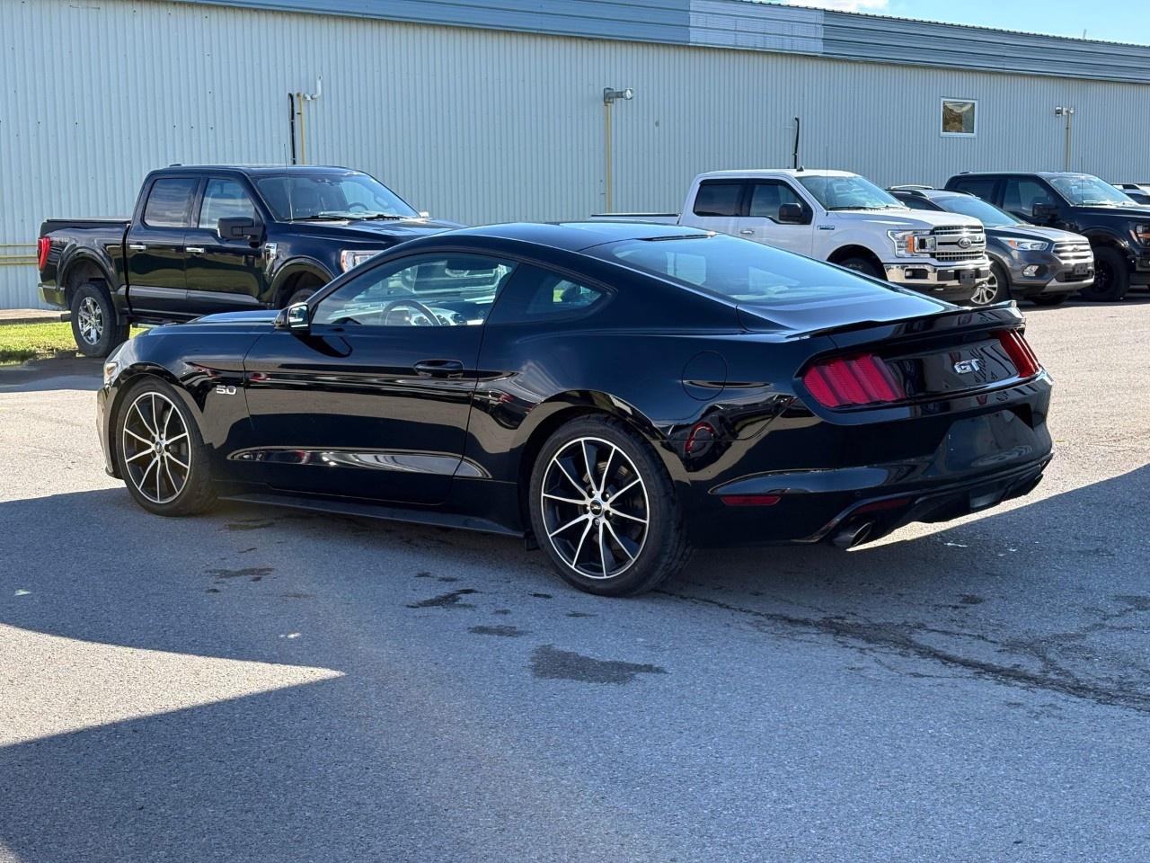 2017 Ford Mustang 2DR FASTBACK GT Photo