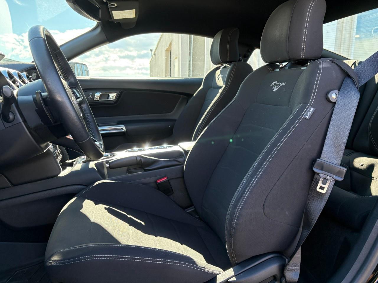 2017 Ford Mustang 2DR FASTBACK GT Photo