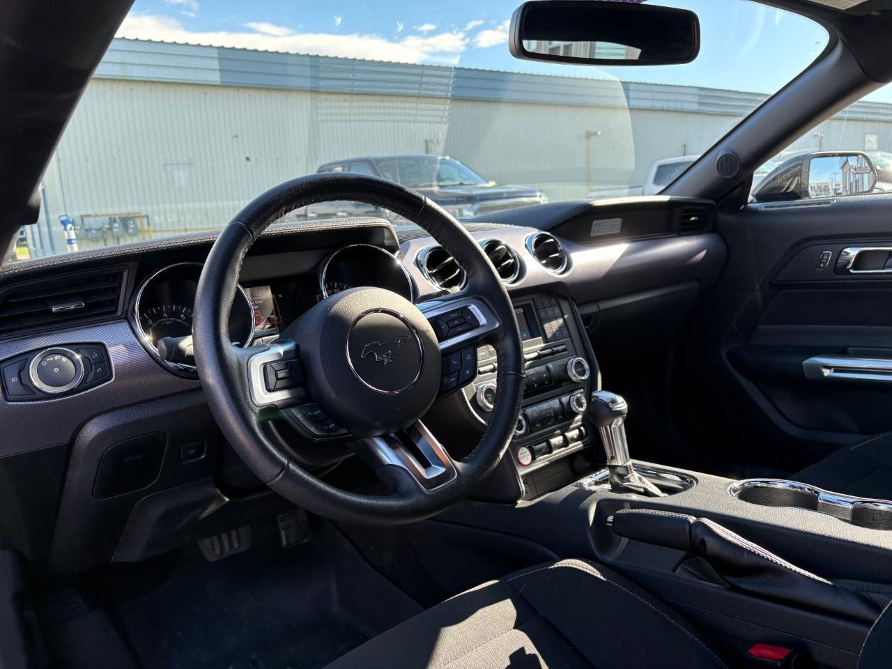 2017 Ford Mustang 2DR FASTBACK GT Photo