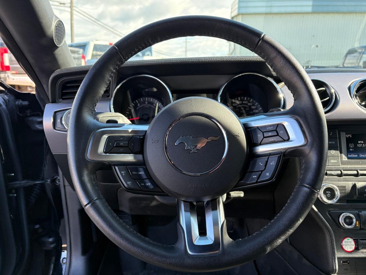 2017 Ford Mustang 2DR FASTBACK GT Photo