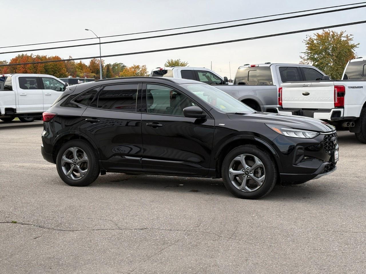 2024 Ford Escape ST-Line AWD Photo