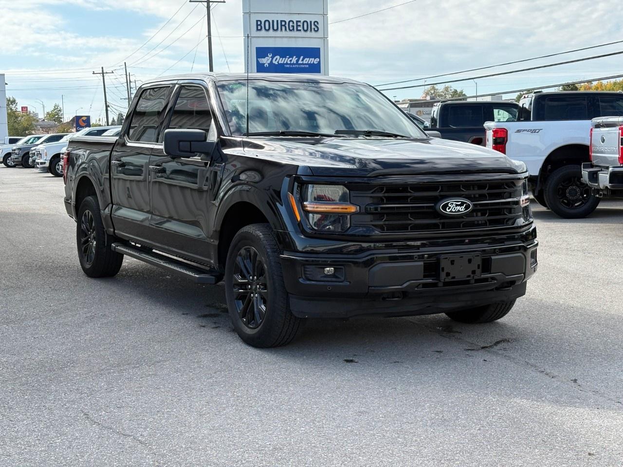 2024 Ford F-150 XLT 4WD SuperCrew 5.5' Box Photo