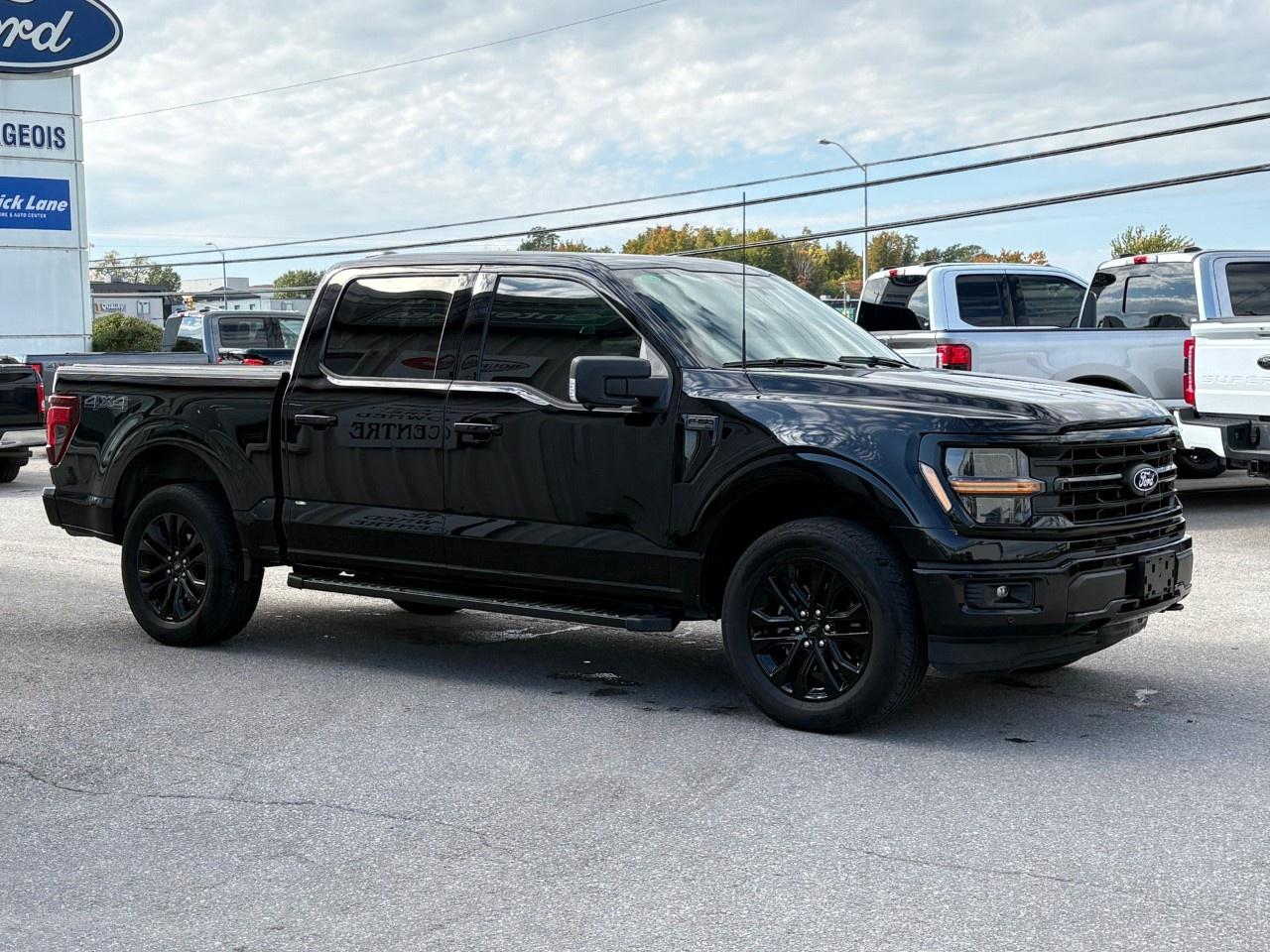 2024 Ford F-150 XLT 4WD SuperCrew 5.5' Box Photo