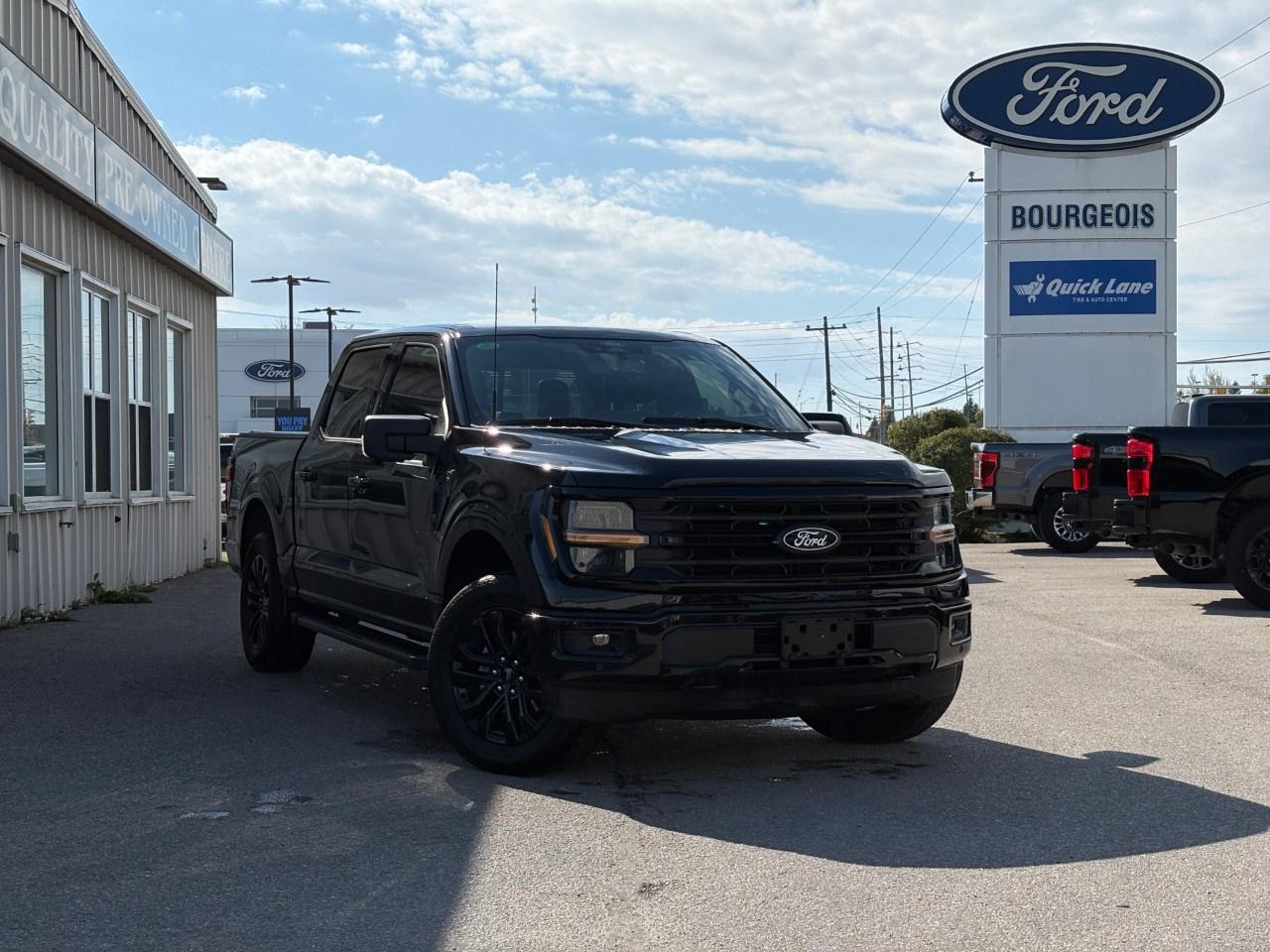 2024 Ford F-150 XLT 4WD SuperCrew 5.5' Box Photo0