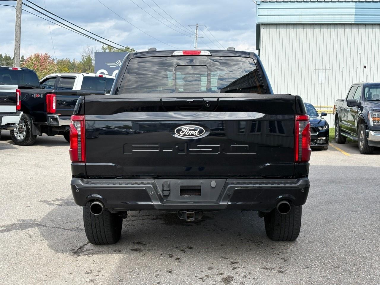 2024 Ford F-150 XLT 4WD SuperCrew 5.5' Box Photo