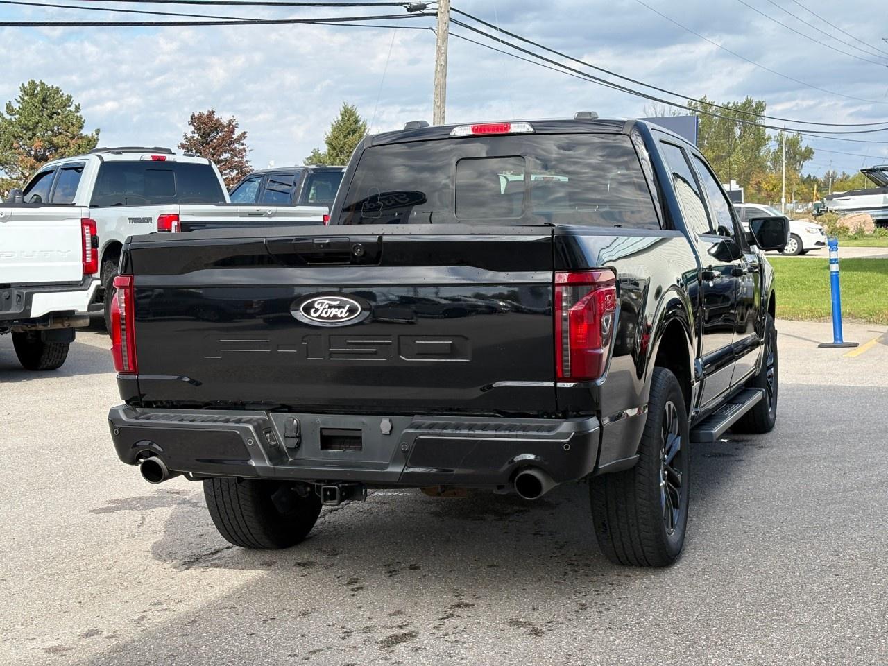 2024 Ford F-150 XLT 4WD SuperCrew 5.5' Box Photo