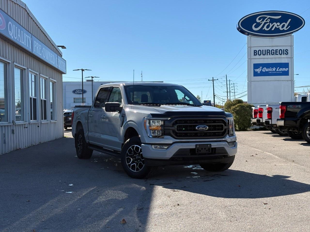 2023 Ford F-150 XLT 4WD SuperCrew 5.5' Box Photo0