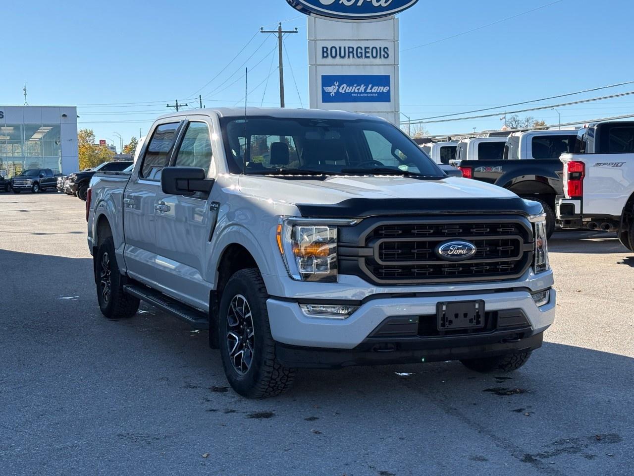 2023 Ford F-150 XLT 4WD SuperCrew 5.5' Box Photo