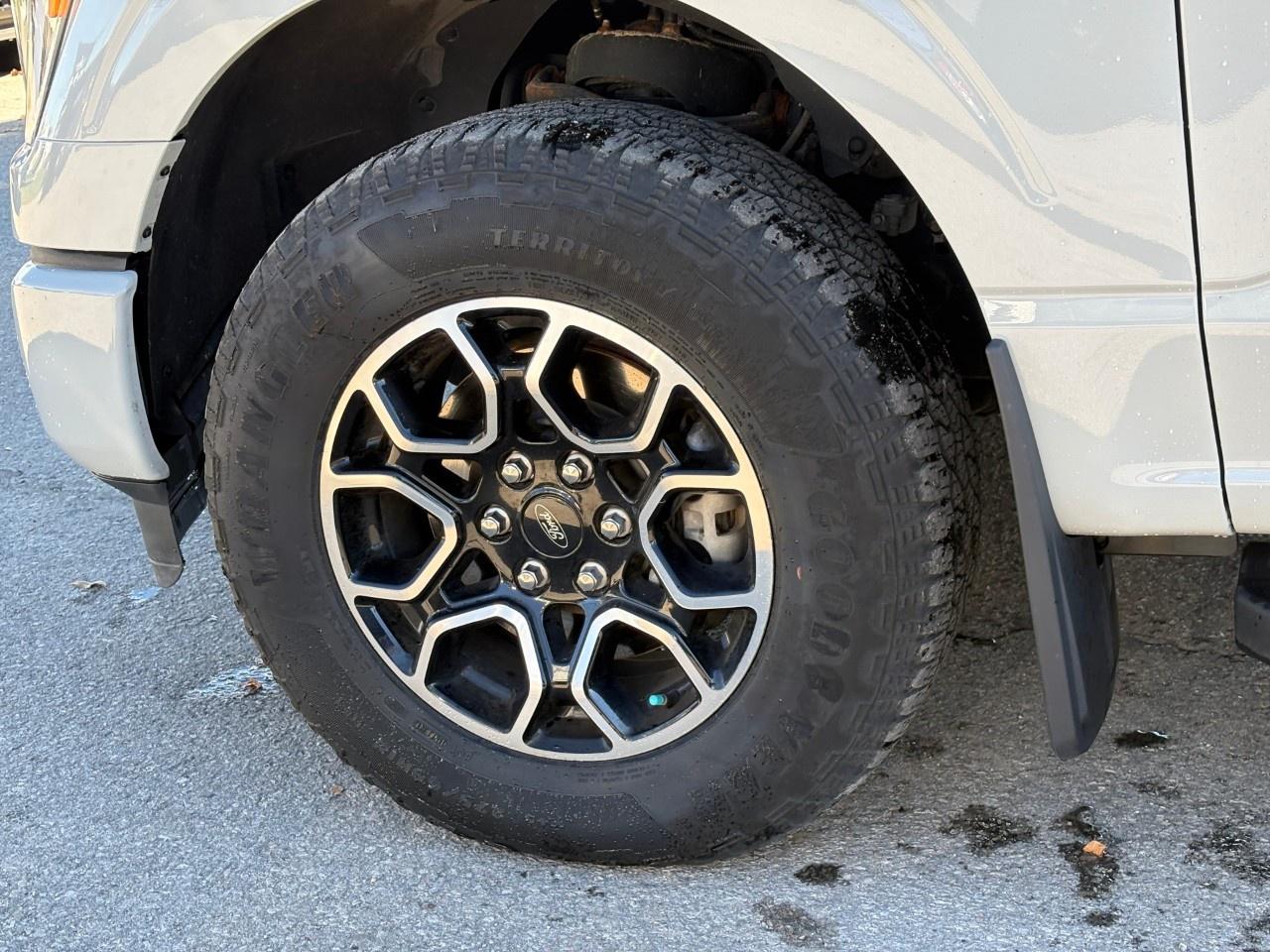 2023 Ford F-150 XLT 4WD SuperCrew 5.5' Box Photo