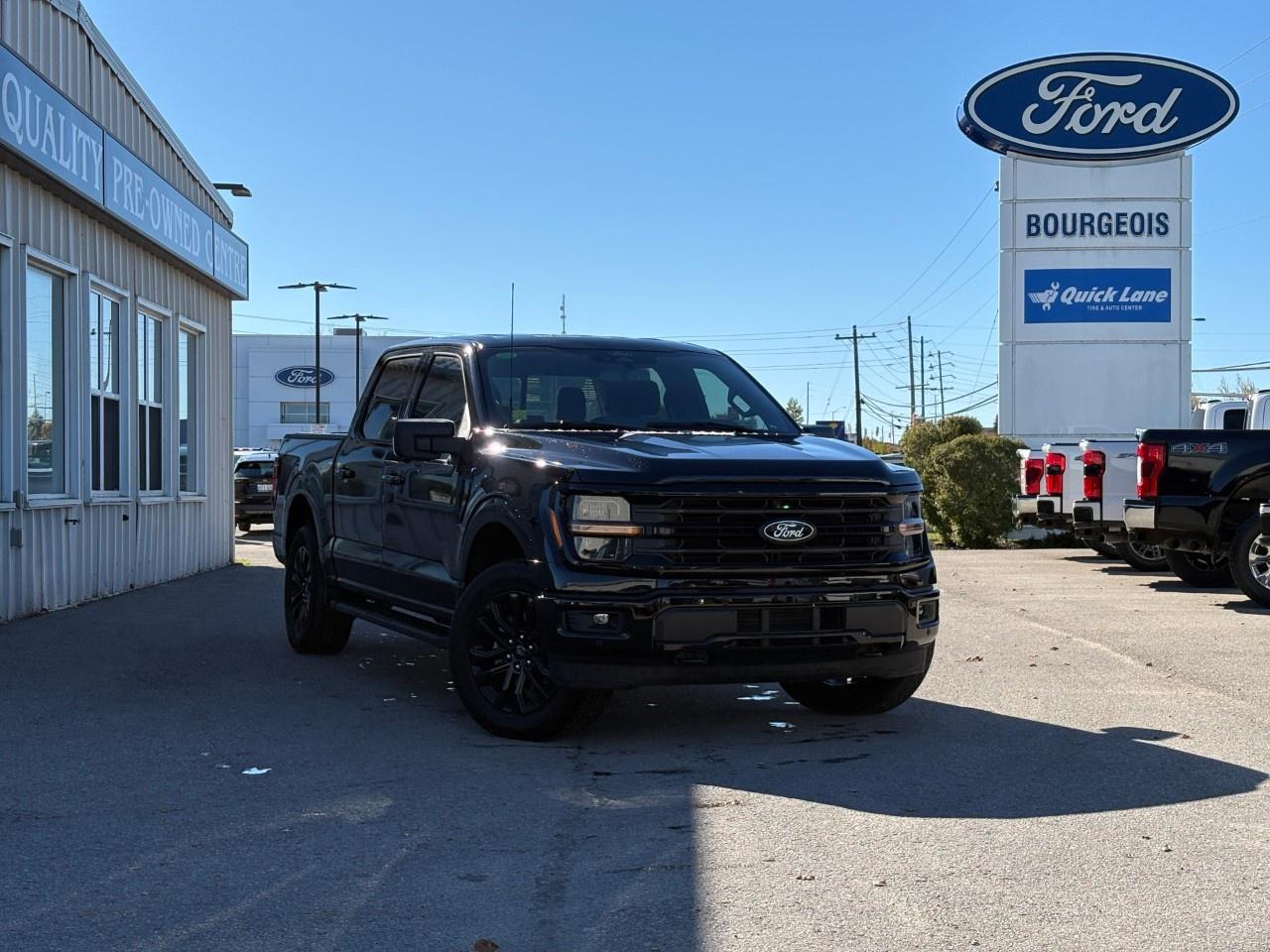 2024 Ford F-150 XLT 4WD SuperCrew 5.5' Box Photo