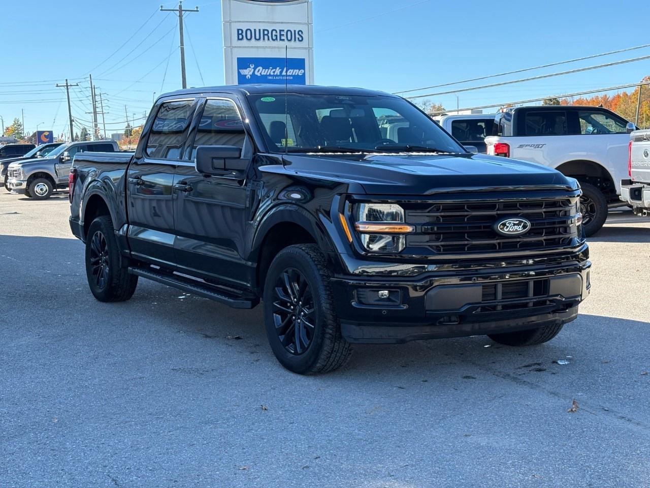 2024 Ford F-150 XLT 4WD SuperCrew 5.5' Box Photo