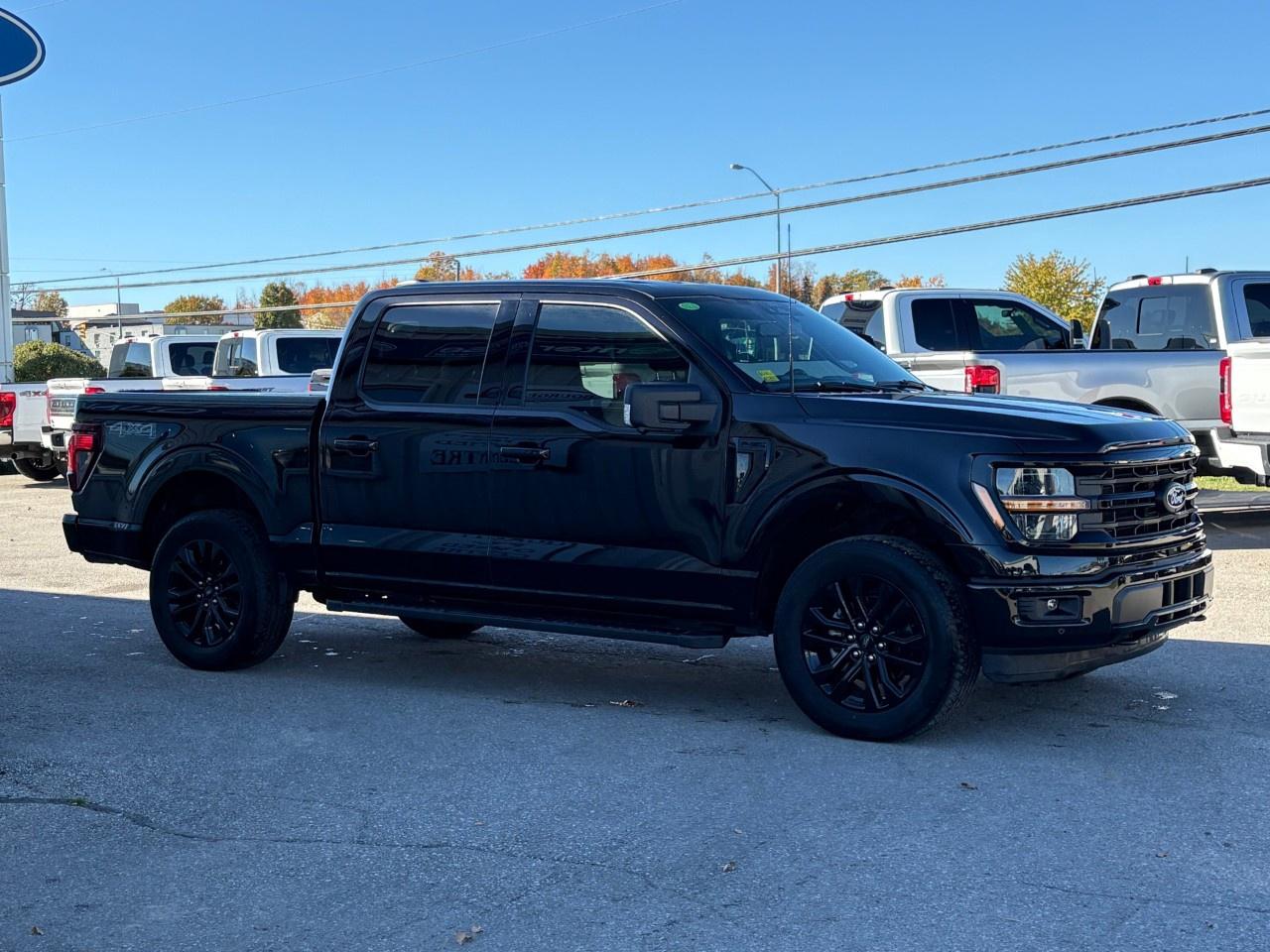 2024 Ford F-150 XLT 4WD SuperCrew 5.5' Box Photo