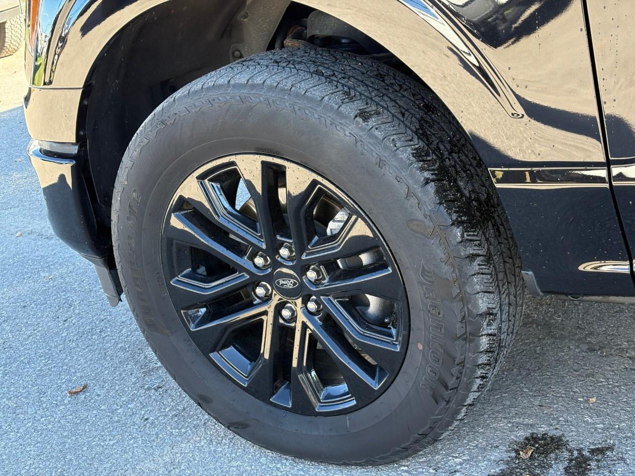 2024 Ford F-150 XLT 4WD SuperCrew 5.5' Box Photo