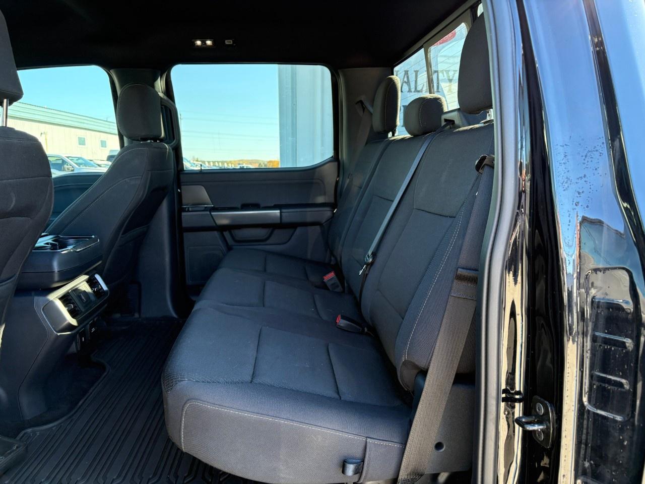 2024 Ford F-150 XLT 4WD SuperCrew 5.5' Box Photo