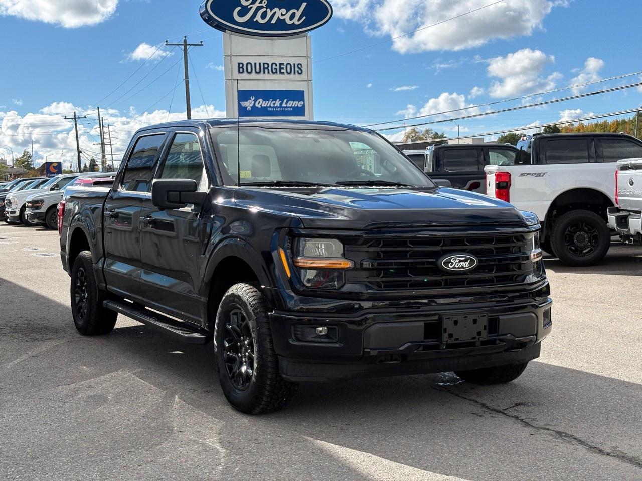2024 Ford F-150 XLT 4WD SuperCrew 5.5' Box Photo