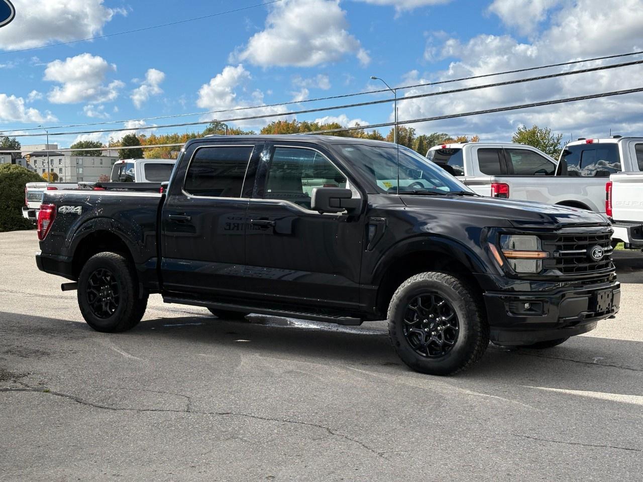 2024 Ford F-150 XLT 4WD SuperCrew 5.5' Box Photo