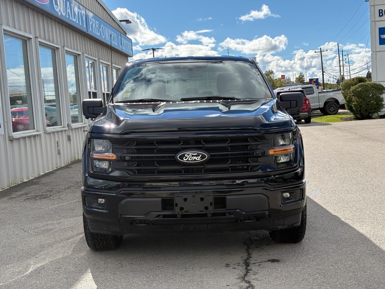 2024 Ford F-150 XLT 4WD SuperCrew 5.5' Box Photo