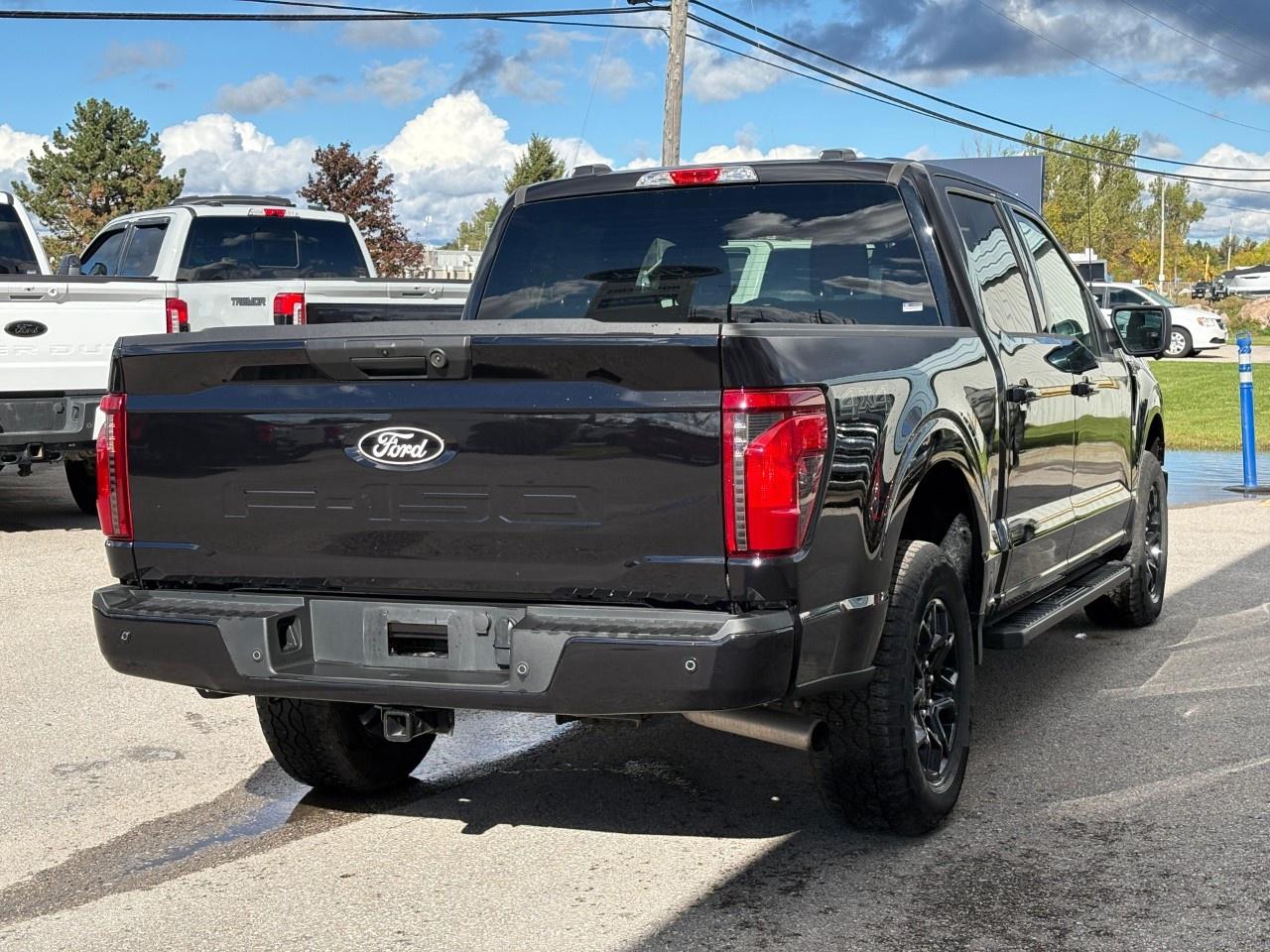 2024 Ford F-150 XLT 4WD SuperCrew 5.5' Box Photo