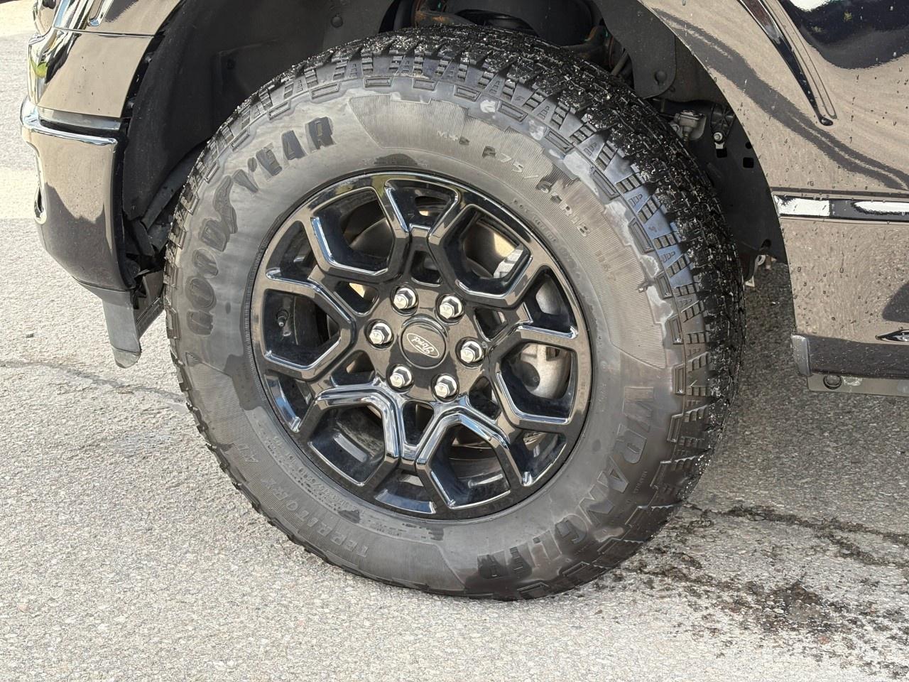 2024 Ford F-150 XLT 4WD SuperCrew 5.5' Box Photo