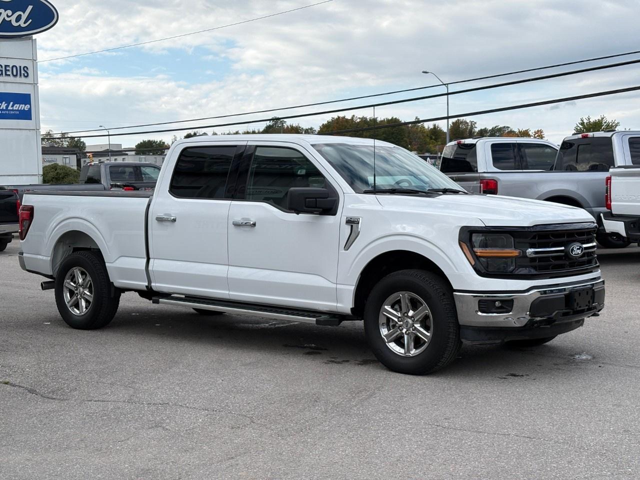 2024 Ford F-150 XLT 4WD SuperCrew 6.5' Box Photo