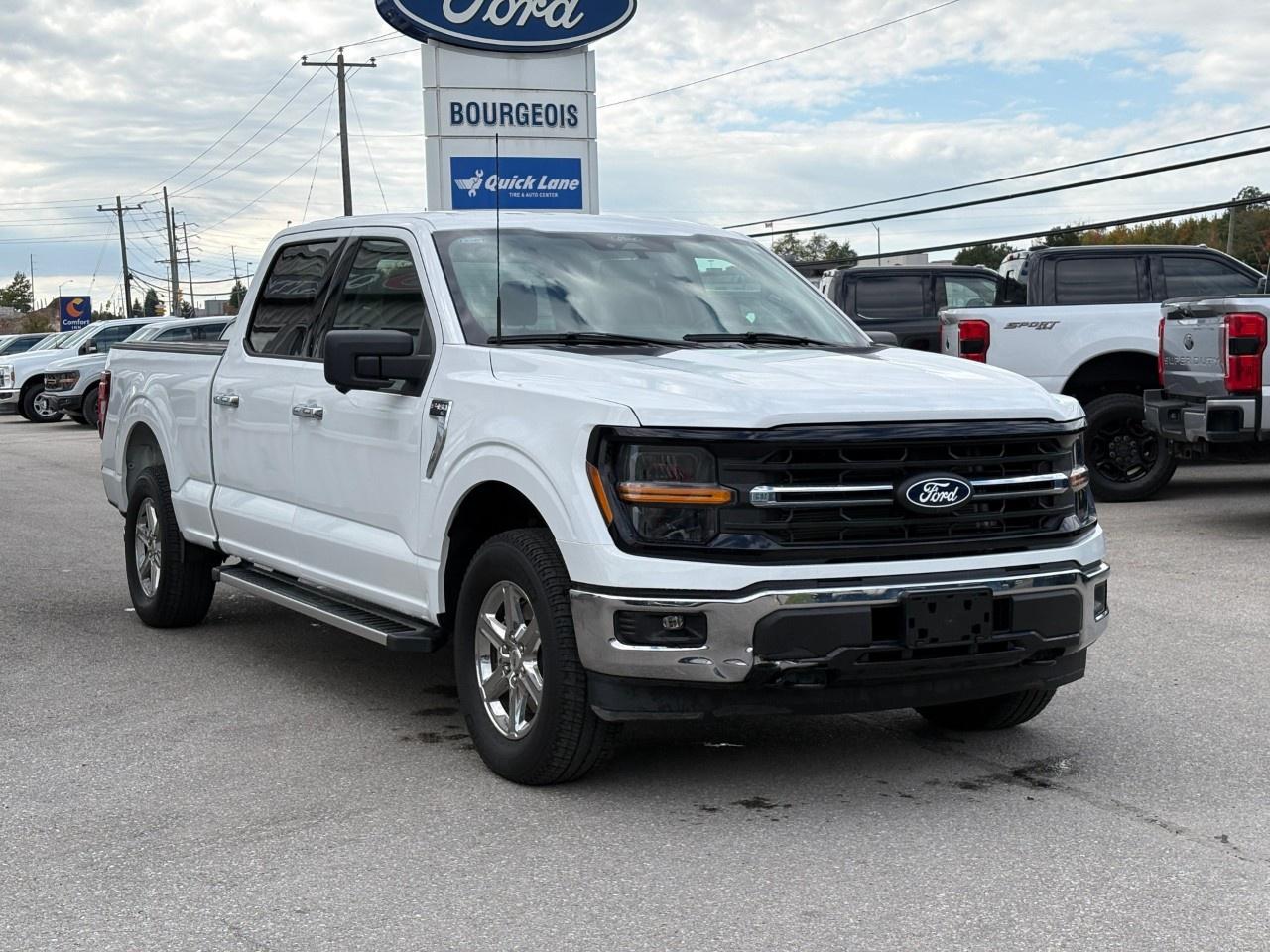 2024 Ford F-150 XLT 4WD SuperCrew 6.5' Box Photo
