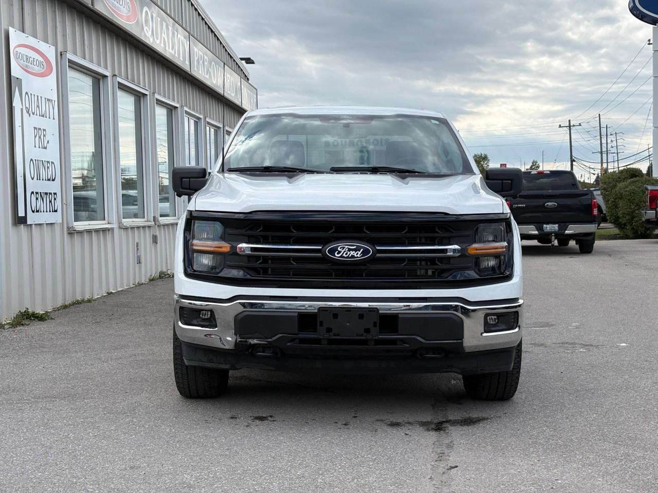 2024 Ford F-150 XLT 4WD SuperCrew 6.5' Box Photo