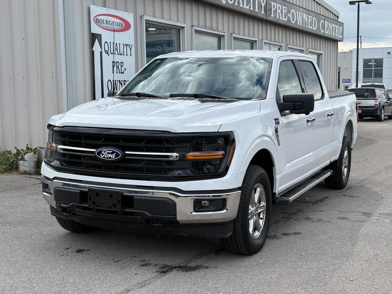 2024 Ford F-150 XLT 4WD SuperCrew 6.5' Box Photo