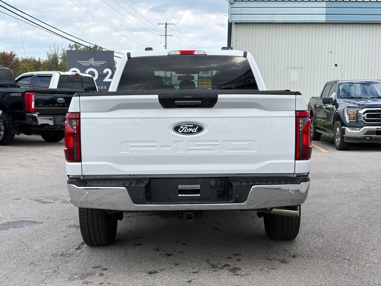2024 Ford F-150 XLT 4WD SuperCrew 6.5' Box Photo