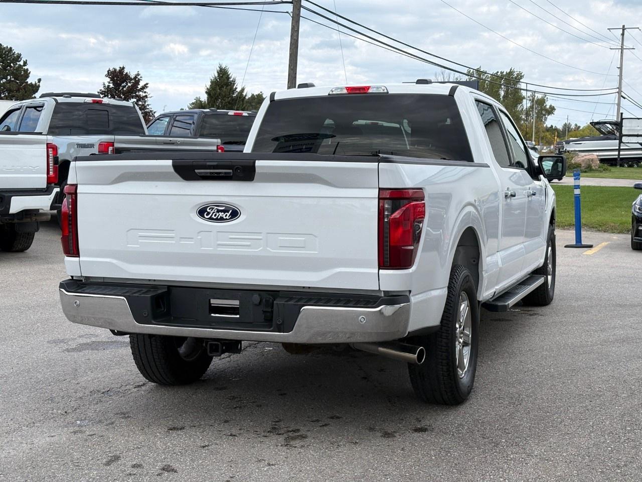 2024 Ford F-150 XLT 4WD SuperCrew 6.5' Box Photo