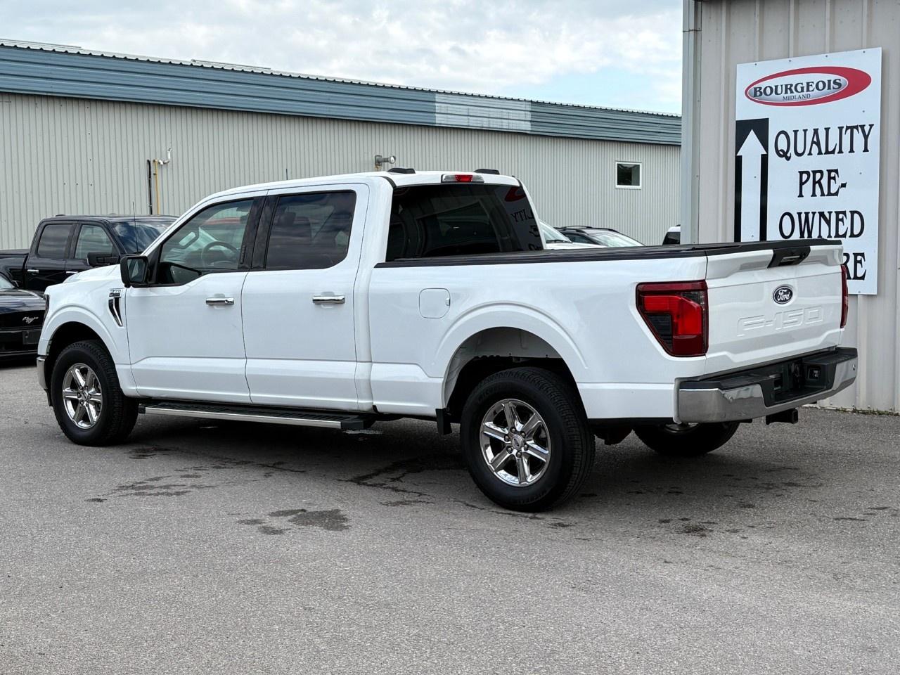 2024 Ford F-150 XLT 4WD SuperCrew 6.5' Box Photo