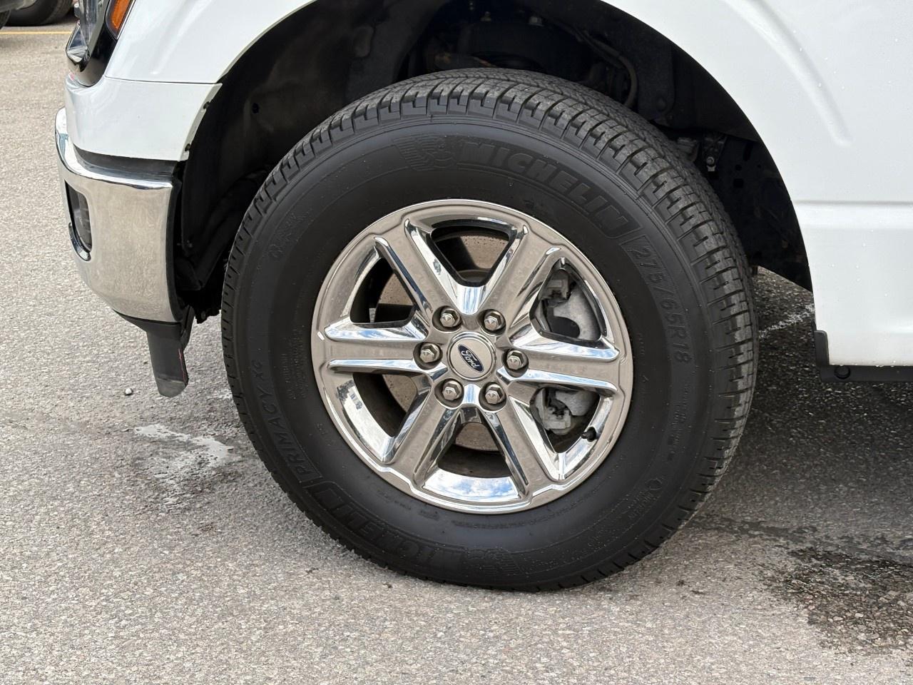 2024 Ford F-150 XLT 4WD SuperCrew 6.5' Box Photo