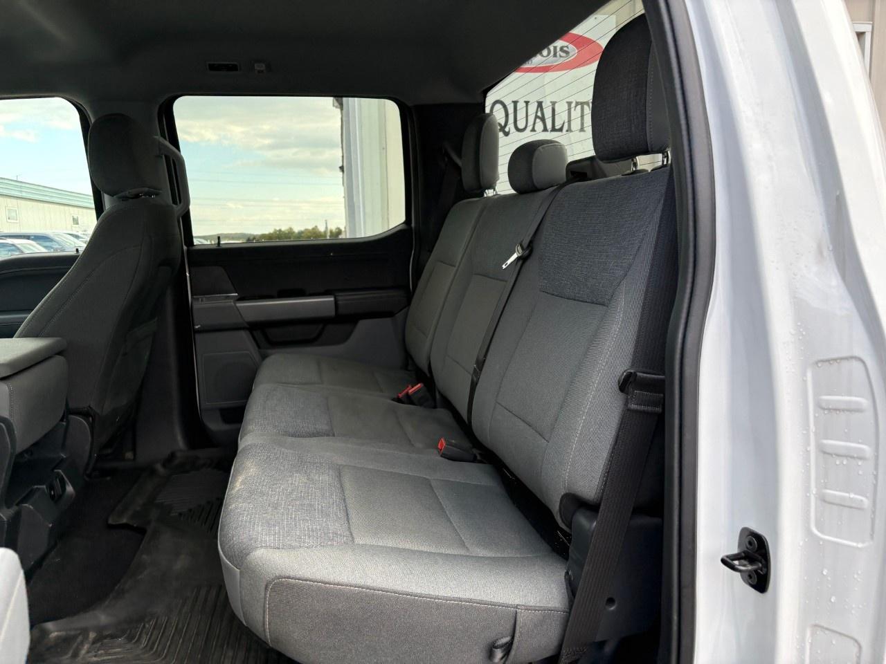 2024 Ford F-150 XLT 4WD SuperCrew 6.5' Box Photo