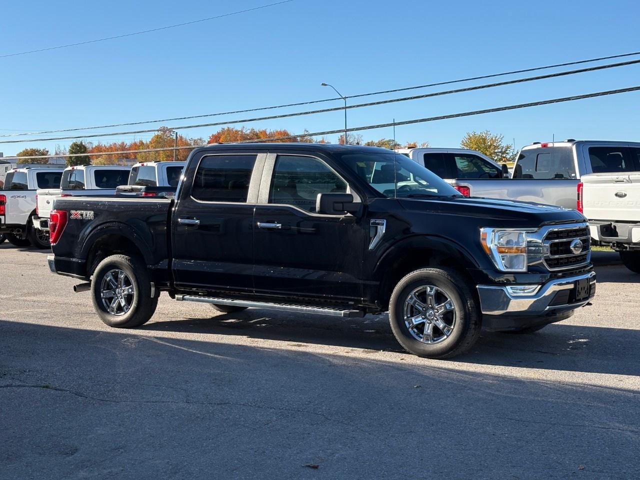 2022 Ford F-150 XLT 4WD SuperCrew 5.5' Box Photo