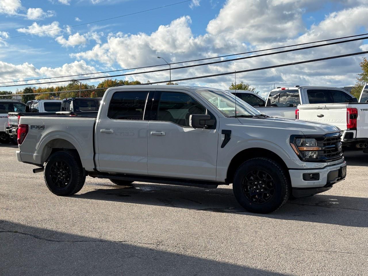 2024 Ford F-150 XLT 4WD SuperCrew 5.5' Box Photo4