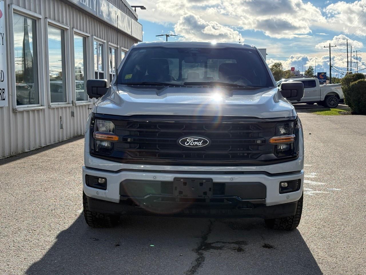 2024 Ford F-150 XLT 4WD SuperCrew 5.5' Box Photo