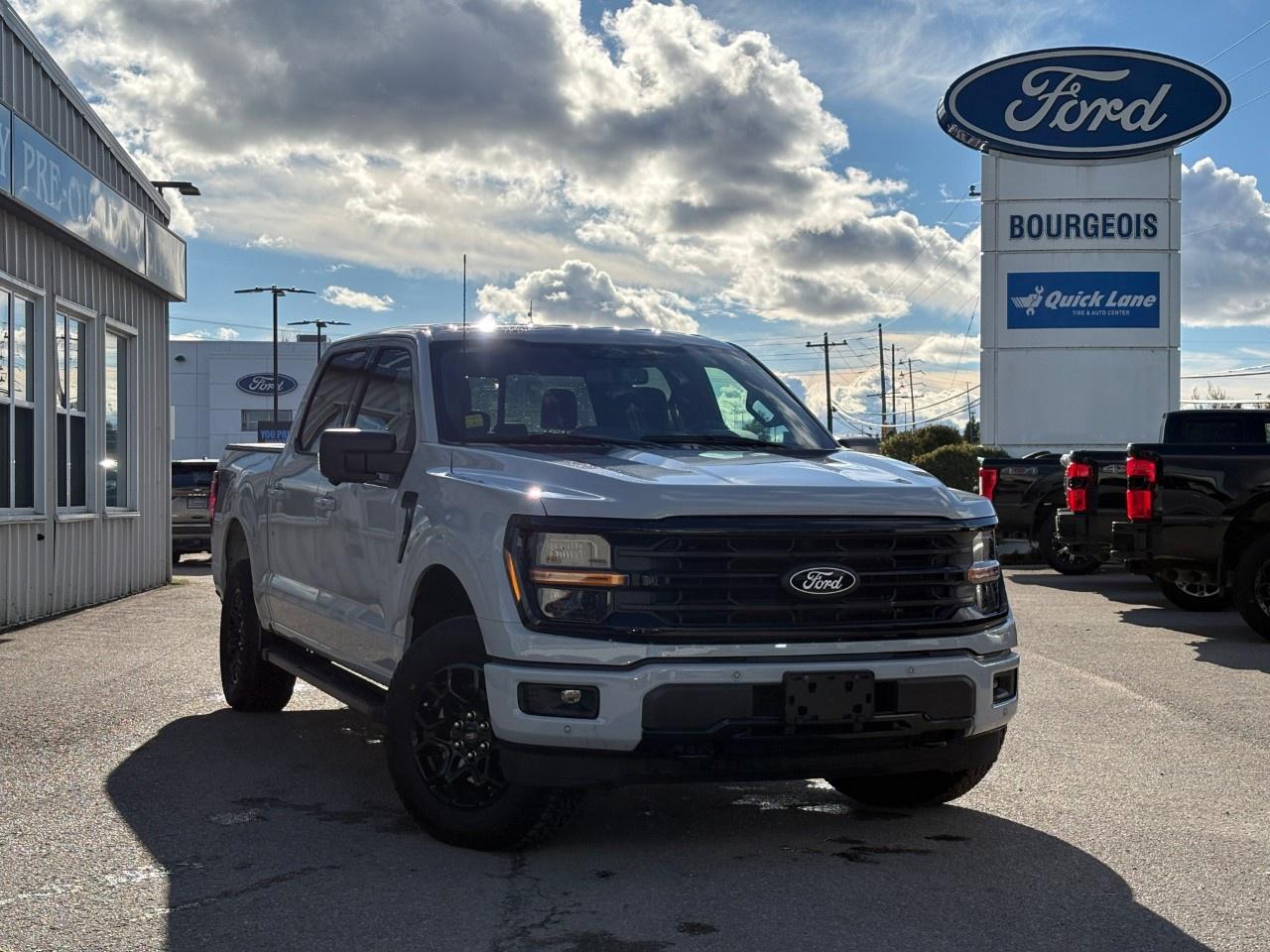 2024 Ford F-150 XLT 4WD SuperCrew 5.5' Box Photo