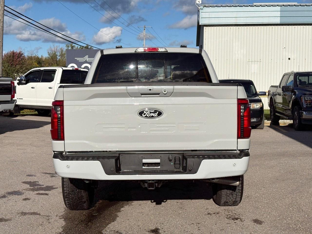 2024 Ford F-150 XLT 4WD SuperCrew 5.5' Box Photo