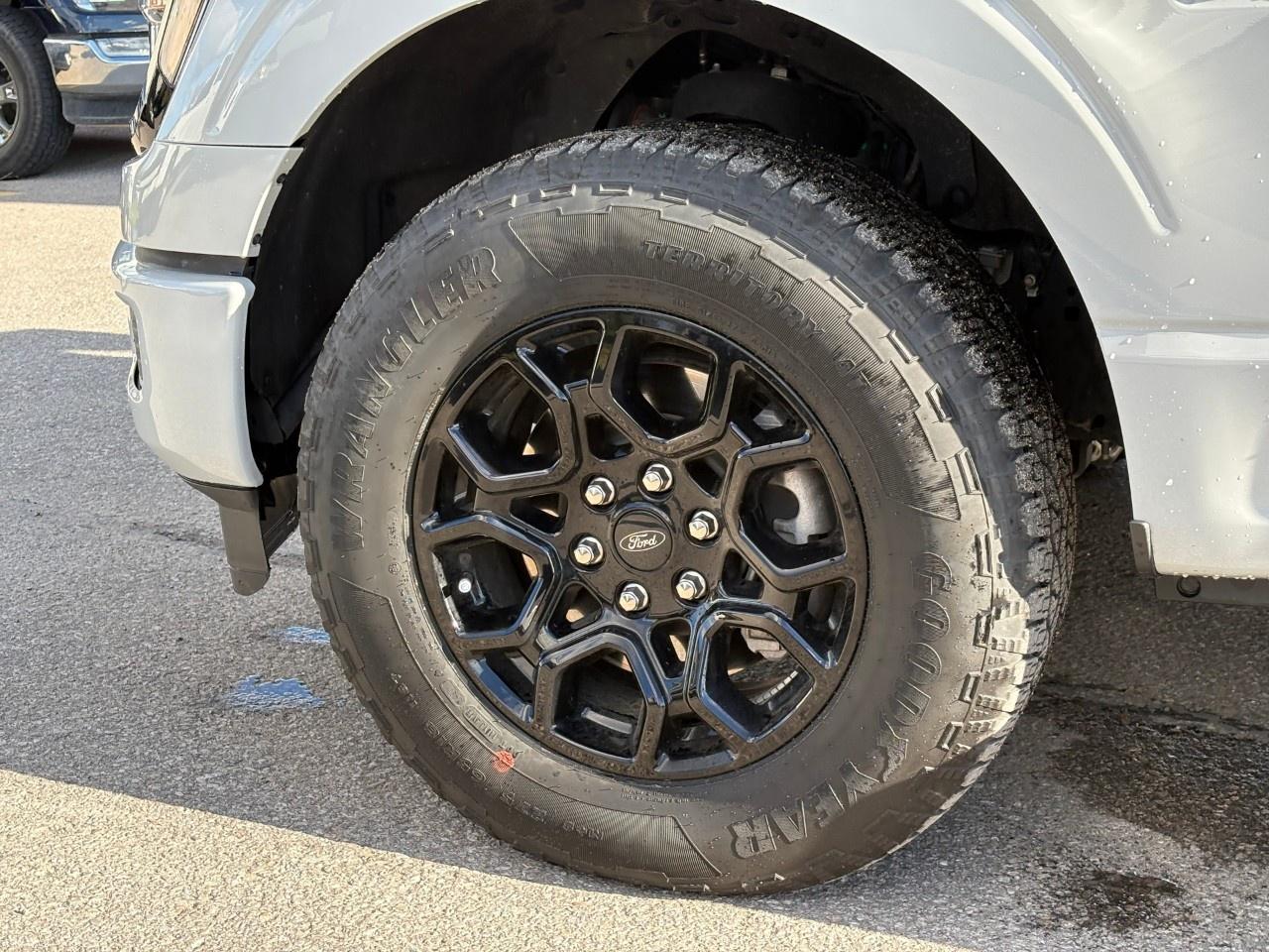 2024 Ford F-150 XLT 4WD SuperCrew 5.5' Box Photo