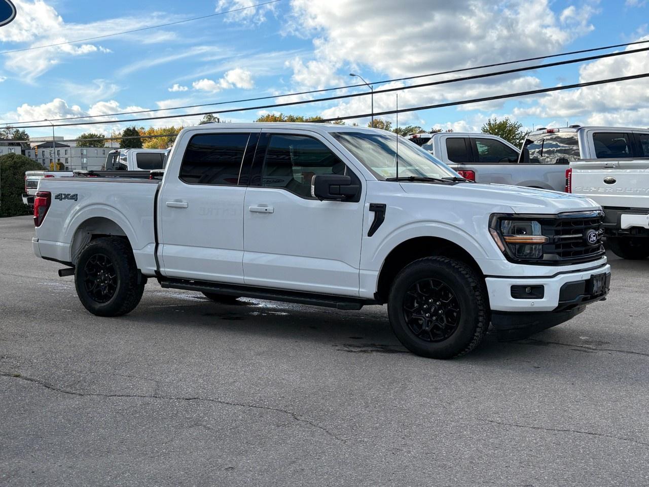 2024 Ford F-150 XLT 4WD SuperCrew 5.5' Box Photo