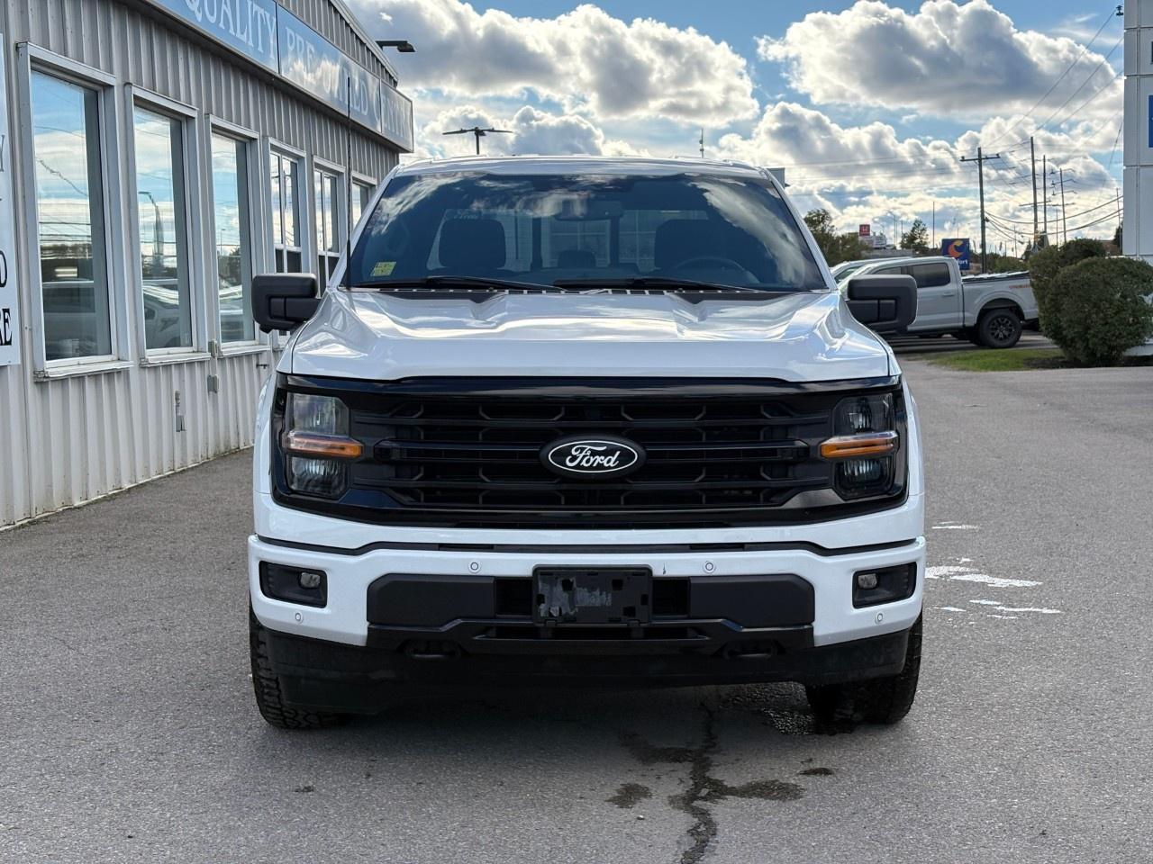 2024 Ford F-150 XLT 4WD SuperCrew 5.5' Box Photo