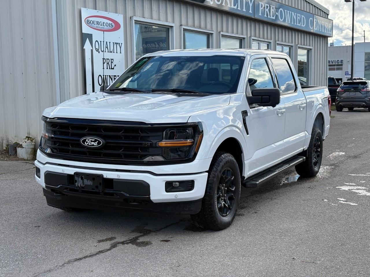 2024 Ford F-150 XLT 4WD SuperCrew 5.5' Box Photo