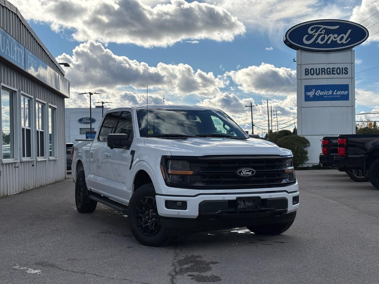 2024 Ford F-150 XLT 4WD SuperCrew 5.5' Box Photo