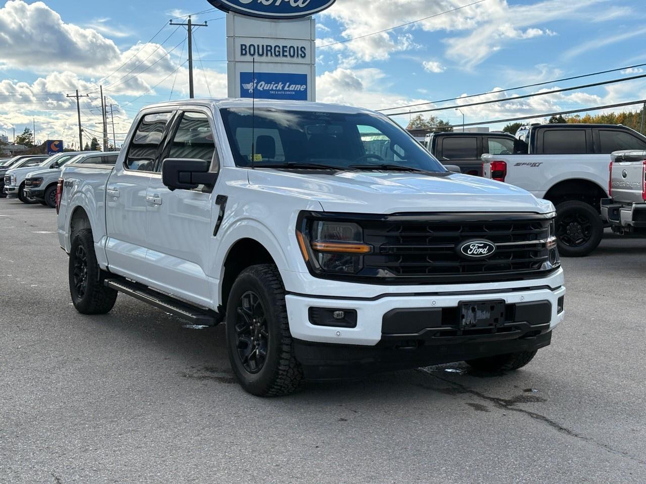 2024 Ford F-150 XLT 4WD SuperCrew 5.5' Box Photo