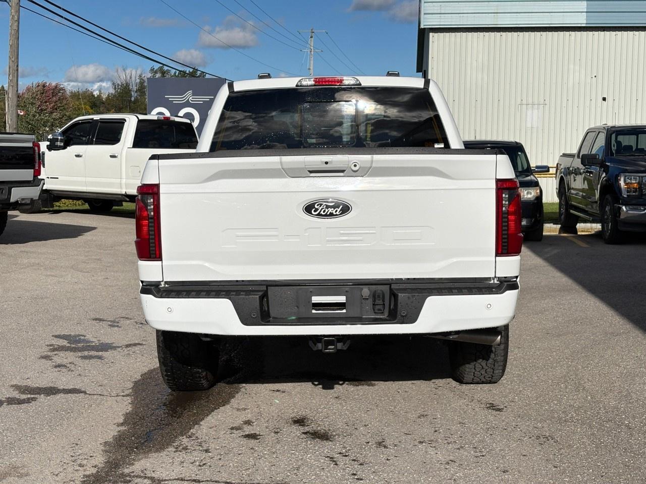 2024 Ford F-150 XLT 4WD SuperCrew 5.5' Box Photo