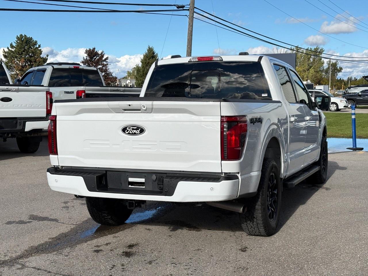 2024 Ford F-150 XLT 4WD SuperCrew 5.5' Box Photo