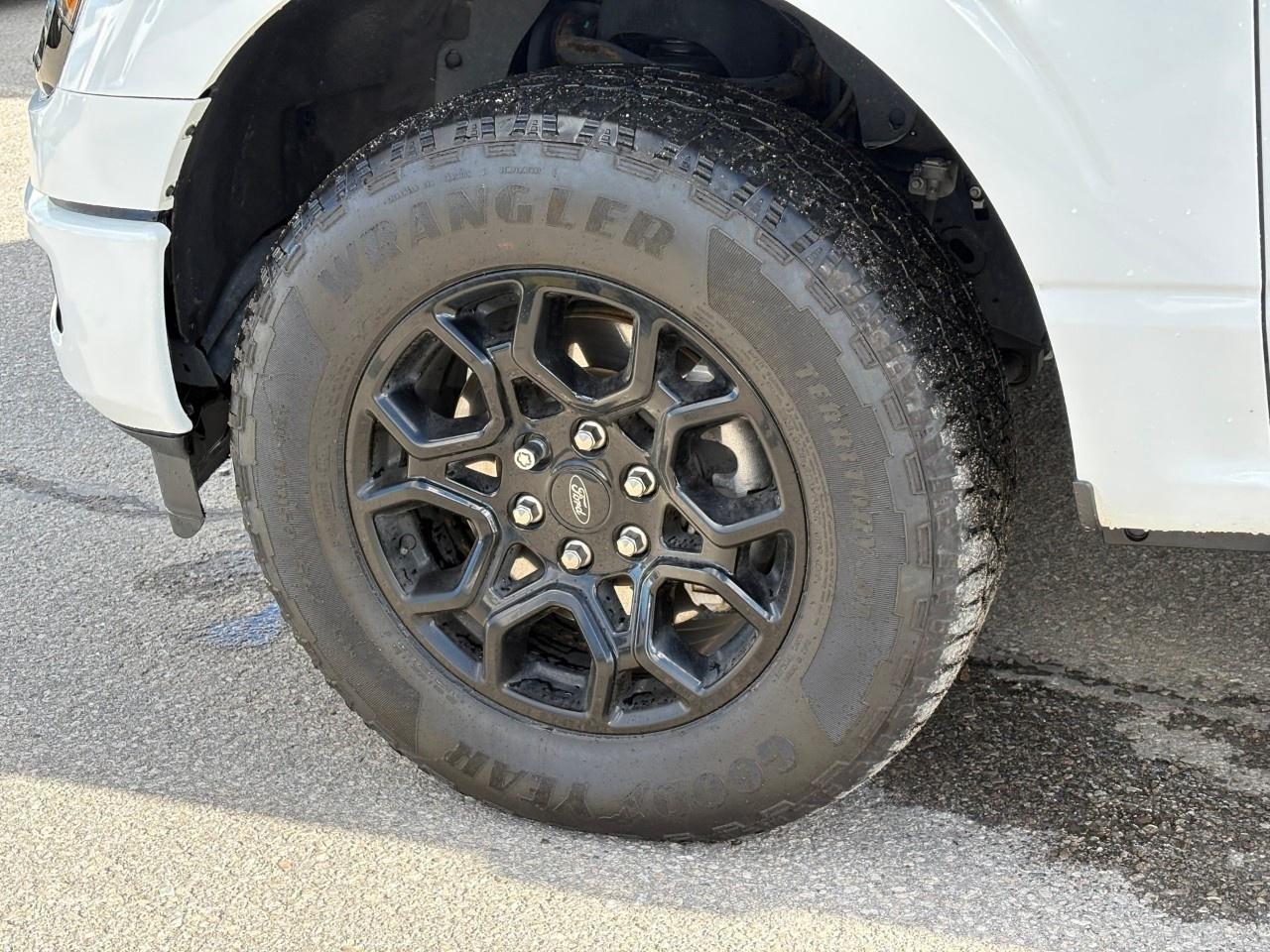 2024 Ford F-150 XLT 4WD SuperCrew 5.5' Box Photo